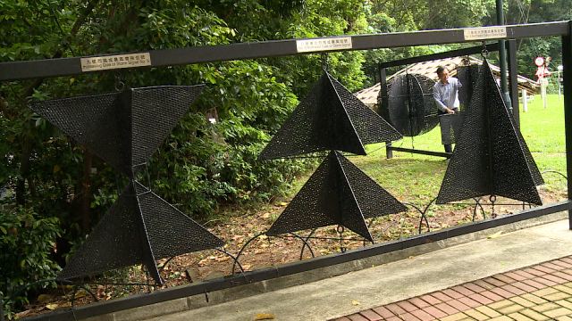Video Image1