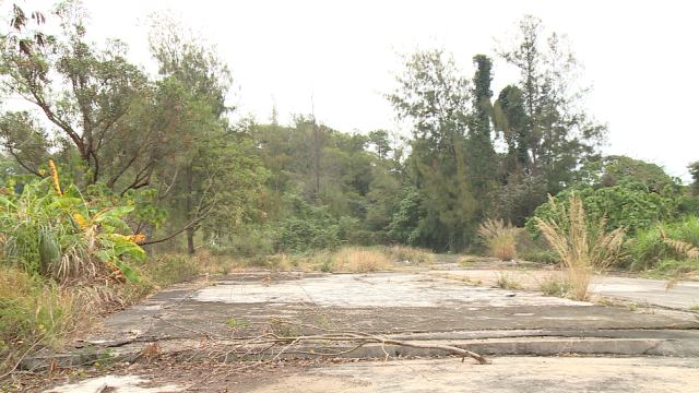 Video Image1