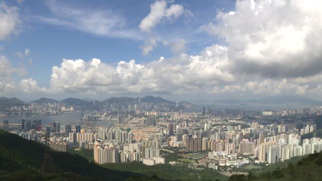 Video Image1