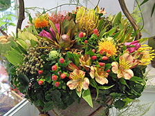 The World of Flowers