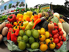 Choice produce