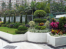 Green belt