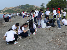 Beach combing