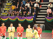 观赏表演