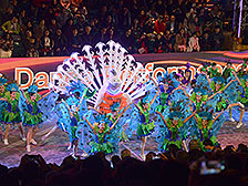 Night parade opens the New Year