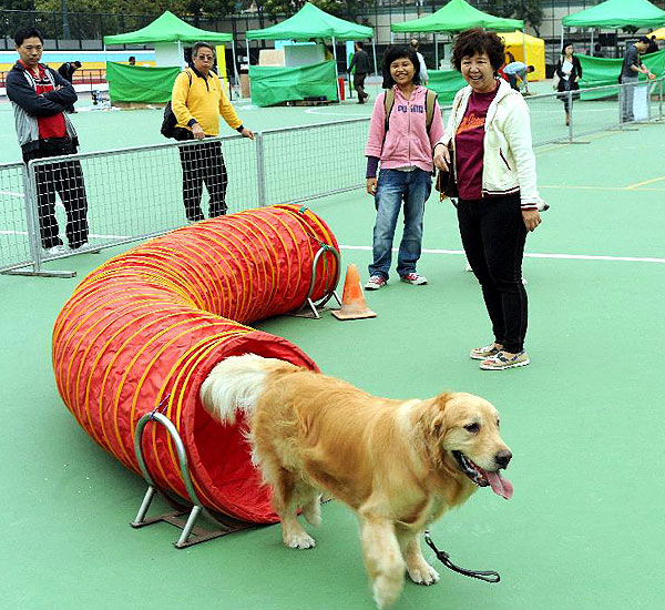 宠物嘉年华:&nbsp;「领养宠物显爱心」嘉年华设有专为狗只而设的游戏