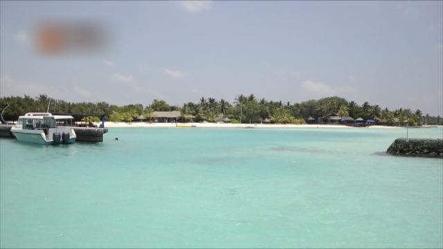 Video Image1