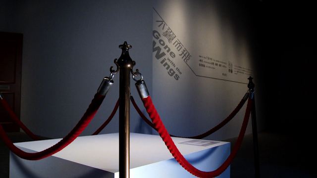 Video Image1