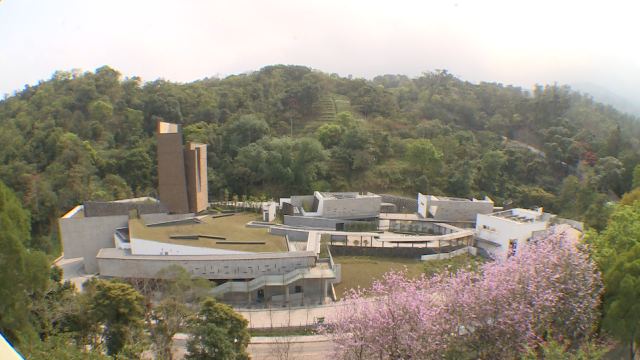 Video Image1