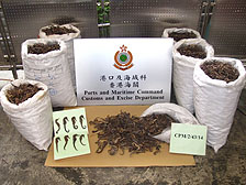 瀕危物種