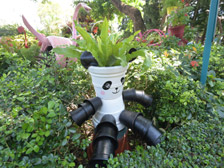 Recycled ideas