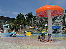 Keep swimming pools clean