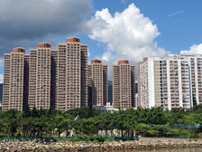 勞工及福利局局長張建宗