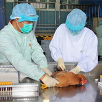Second human H7N9 case confirmed