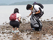 清洁海岸