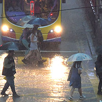 黑色暴雨