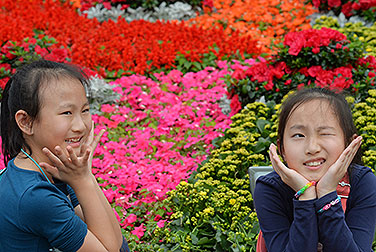 繁花似锦