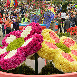 Floral feast