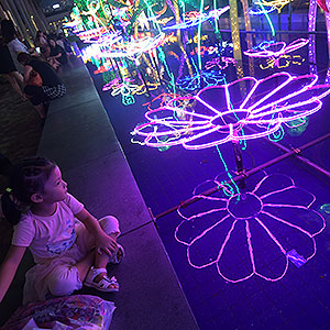 Mid-Autumn festival celebrations