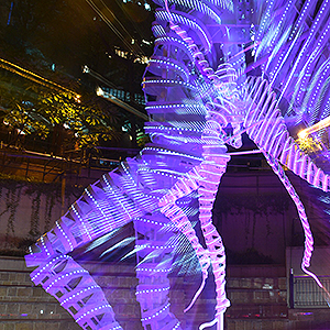 HK landmarks lit up