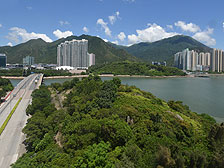 发展局局长陈茂波