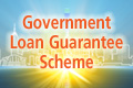 Government Loan Guarantee Scheme