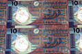 $10 polymer note