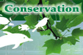 A&F Conservation