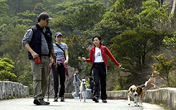 柏架山道自然徑