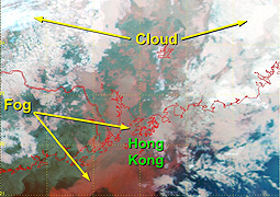 satellite image