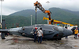 Government Flying Service toppled in guts