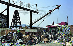 Exhibition reflects environmental concerns