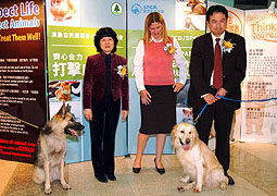 Publicity drive against animal cruelty launched