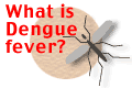 What is Dengue fever?
