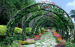 Ma Wan Park's Nature Garden