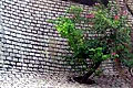 Masonry decoration