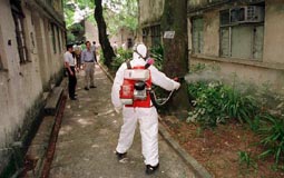 Anti-mosquito operation