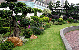 Greening school project