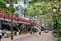 Flower Market Road