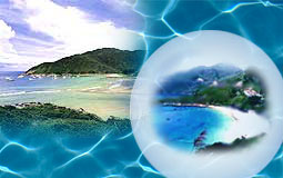 Beach Water Quality