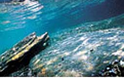 marine park