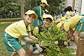 150名小學生合力種植約500株灌木