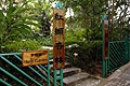 Herb Garden