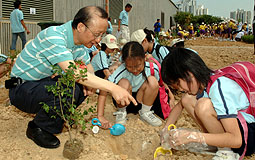 8號幹線社區種植日