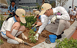 木土工程拓展署署長蔡新榮與學生植樹