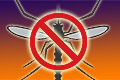 TeamCleanReport
