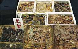 Seafood