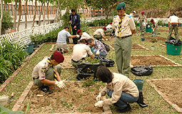社區園圃計劃