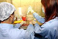 Polymerase chain reaction tests