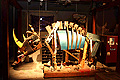 Robot Zoo exhibition